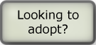 Looking to adopt?  Click here for free information!