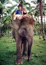 Adoptive Family Photo: An Elephant Ride in Bali, click to view bigger version