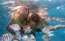 Adoptive Family Photo: Snorkeling in Cozumel, click to view bigger version