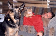 Adoptive Family Photo: Our Dog �Barron� and Our Cat �Lucky�, click to view bigger version