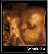 Baby Image at Week24