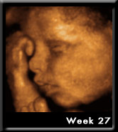 Baby Image at Week27