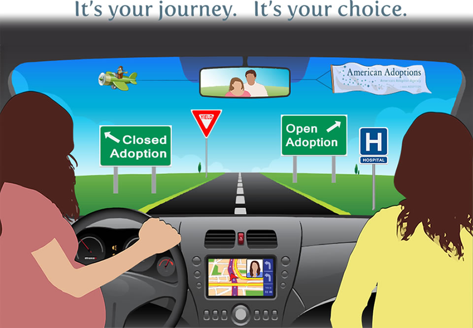 Adoption 101 Who’s in the Driver’s Seat? [Infographic] American