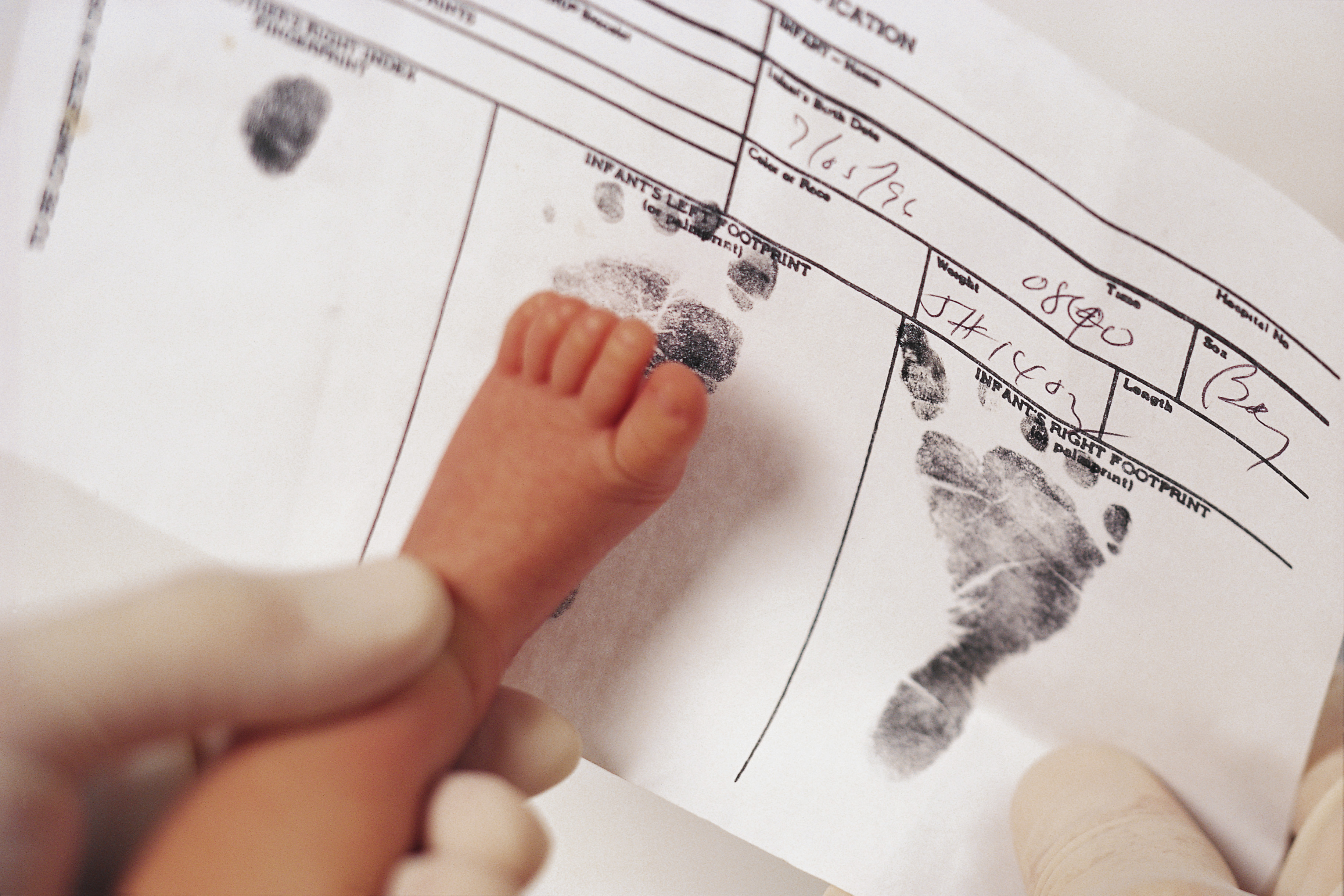 Birth Certificates And Adoptees