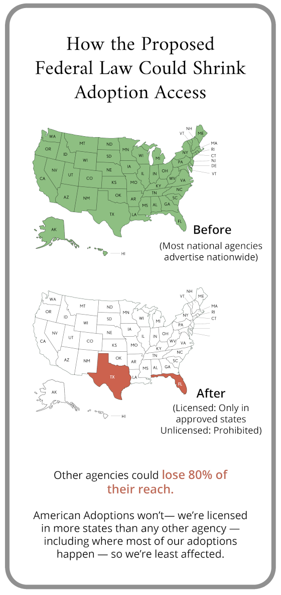 Four Pillars of a Successful Adoption