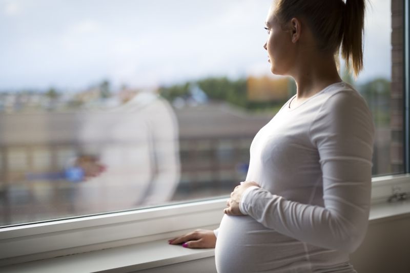 Pregnant woman stands inside looking out a window.