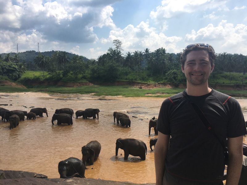Watching Elephants Play in the River in Sri Lanka