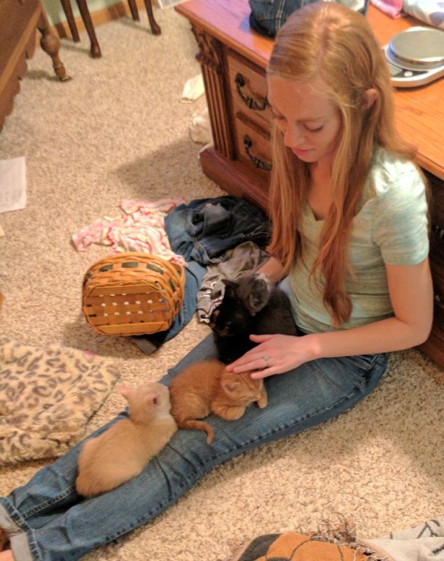 Katy With Foster Kittens