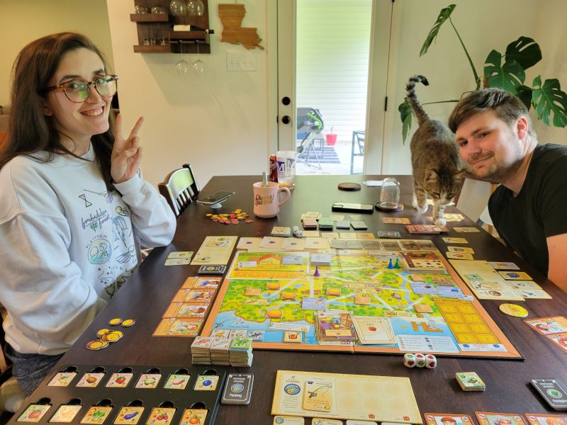 Playing Board Games