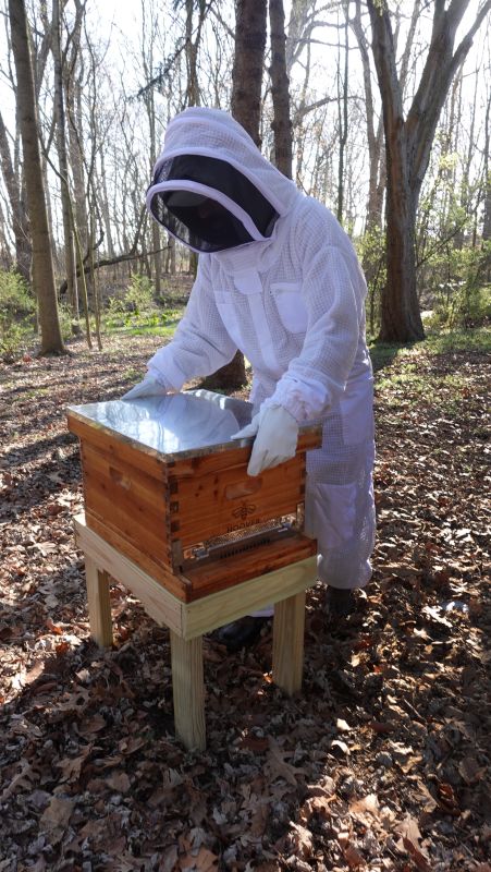 Jacob Doing Beekeeping