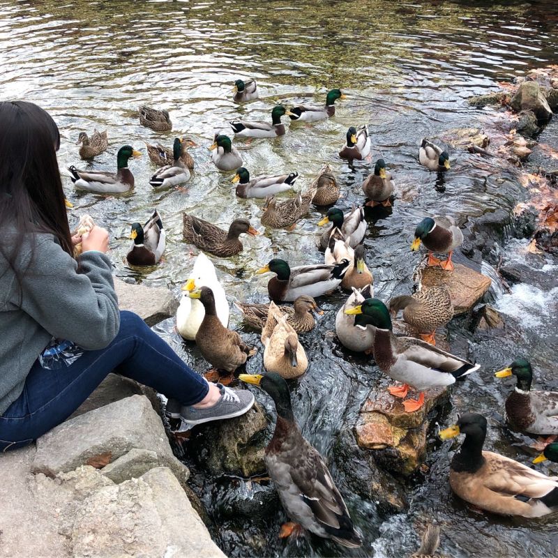 Shauna Loves to Feed the Ducks