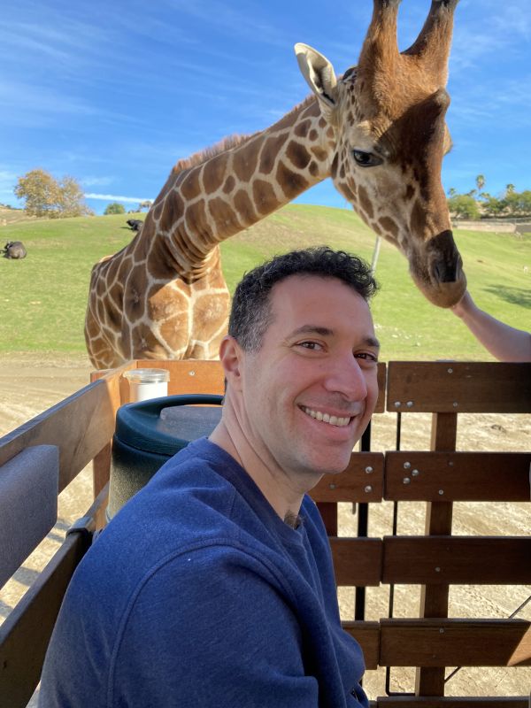 Feeding a Giraffe at a Safari Park
