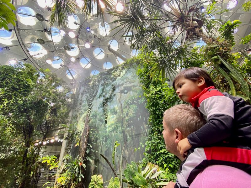 Exploring the Rainforest Biodome at a Local Museum