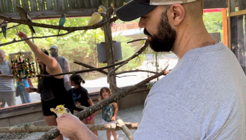 Luke Feeding a Parakeet at the Zoo