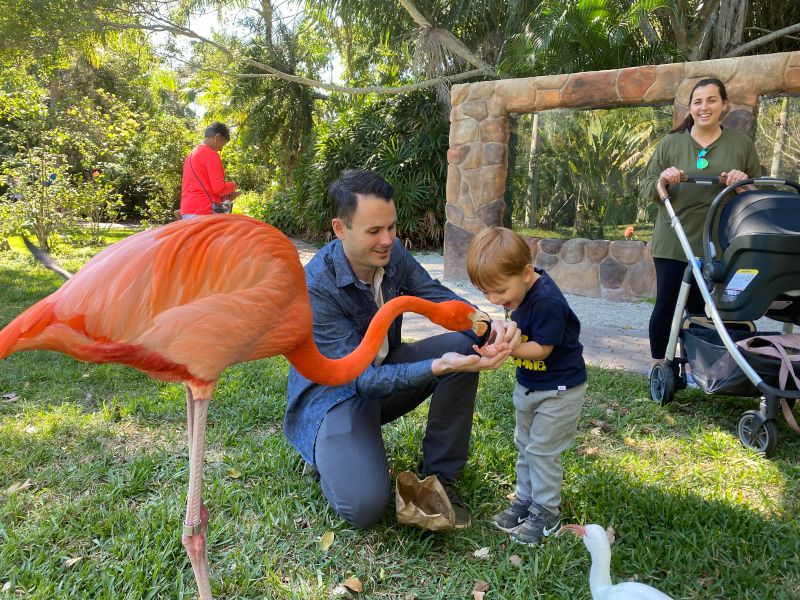 Matt Helping Our Nephew Feed a Flamingo