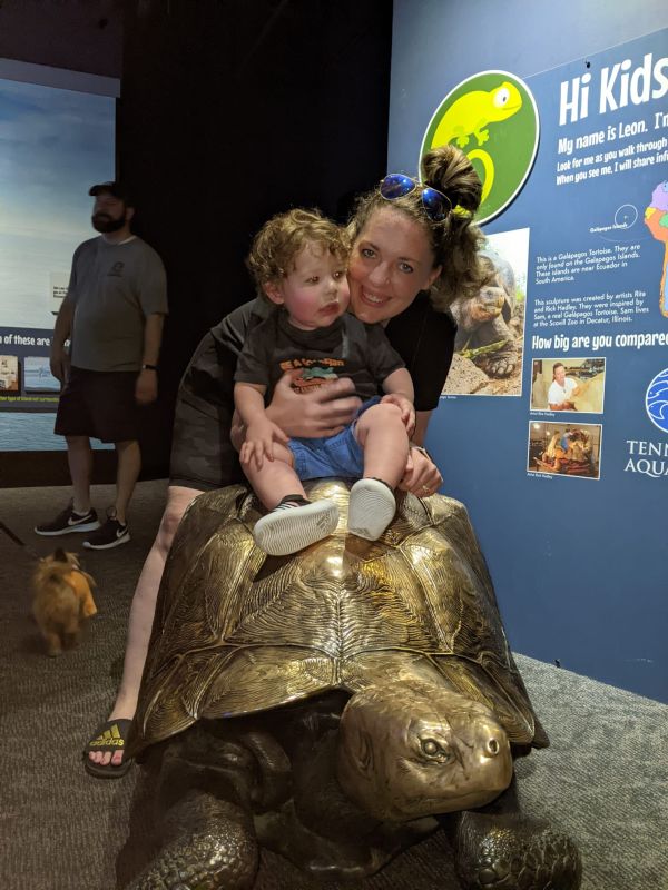 A Day at the Aquarium