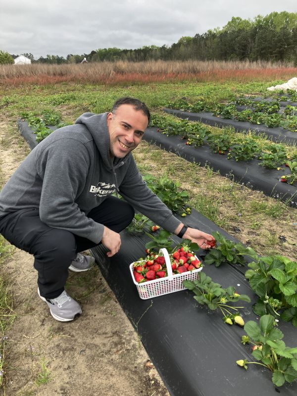 Picking Strawberries