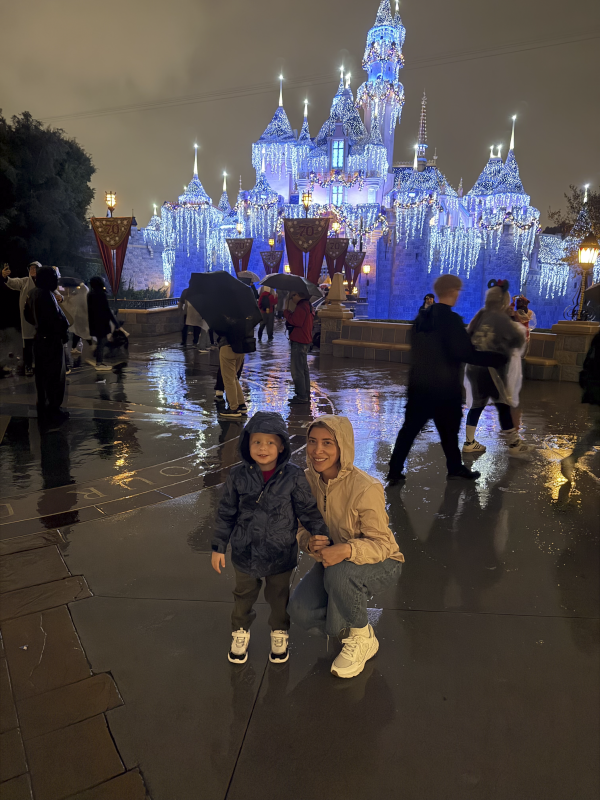 Rain or Shine, We Love Disneyland