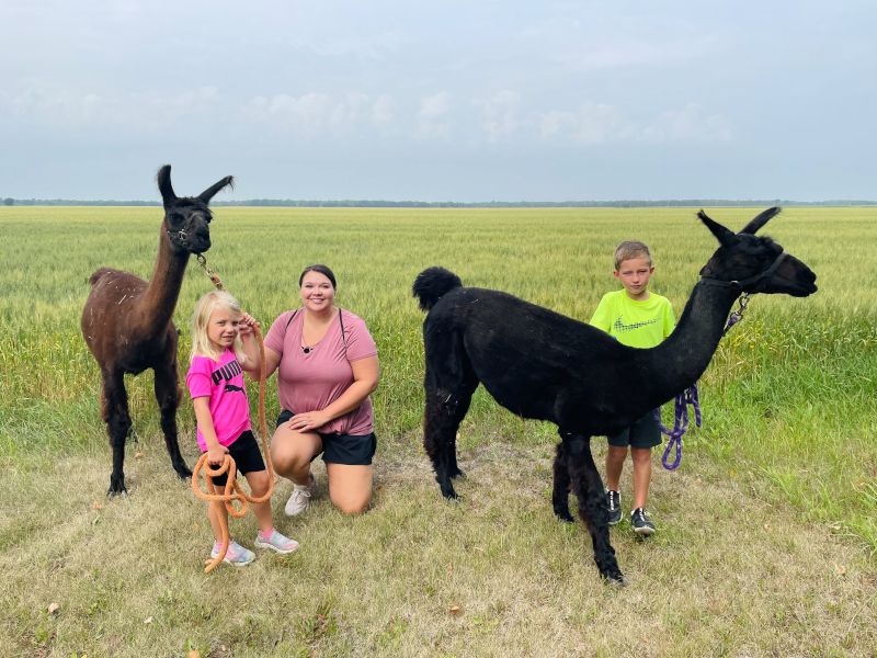 Llama Love & Little Laughs