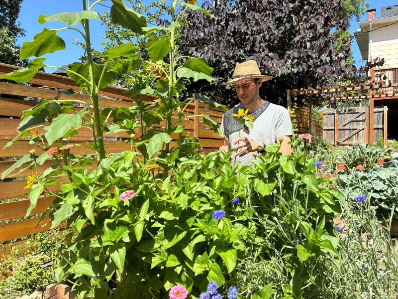 Charlie Picking Flowers in Our Garden