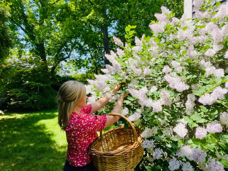 Monica Picking Flowers in Our Garden
