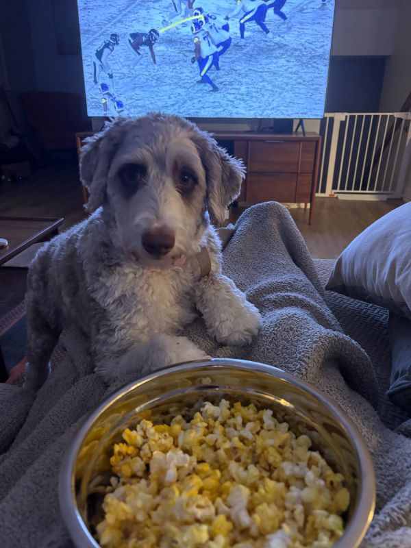 Movies & Popcorn With Our Pup, B