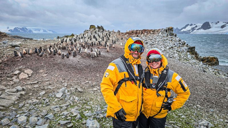 Walking With Penguns in Antarctica