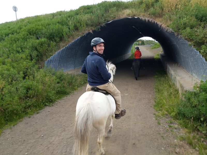Horseback Riding in Iceland