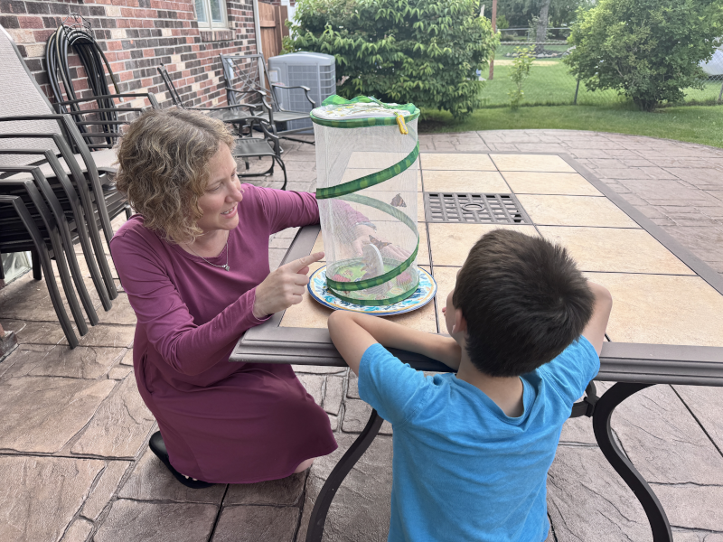 Releasing the Butterflies we Grew from Caterpillars