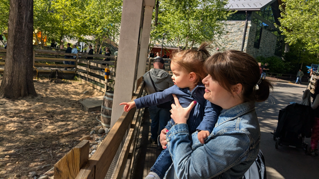 At the Zoo