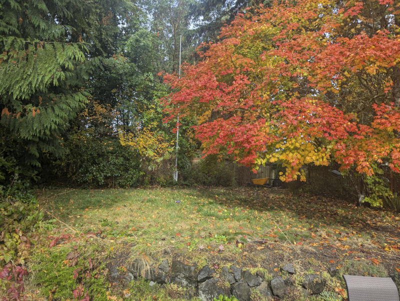 Our Backyard Ready For a Playground