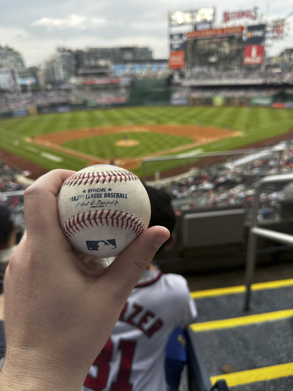 Ryan Is in Charge of Catching the Foul Balls When We See Baseball Games