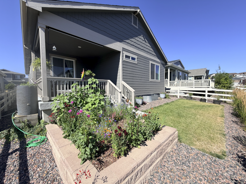 Our backyard and garden