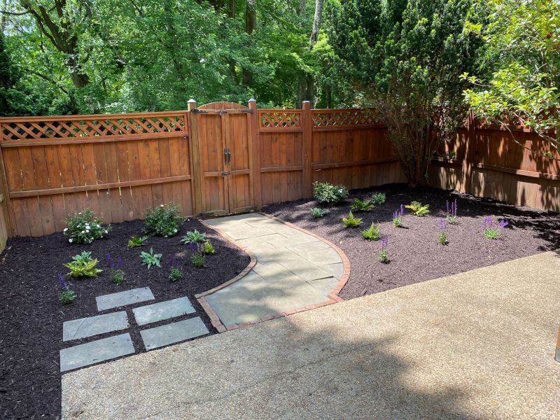Our Backyard