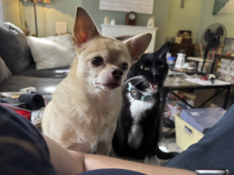 Mitzi Jo and Felix