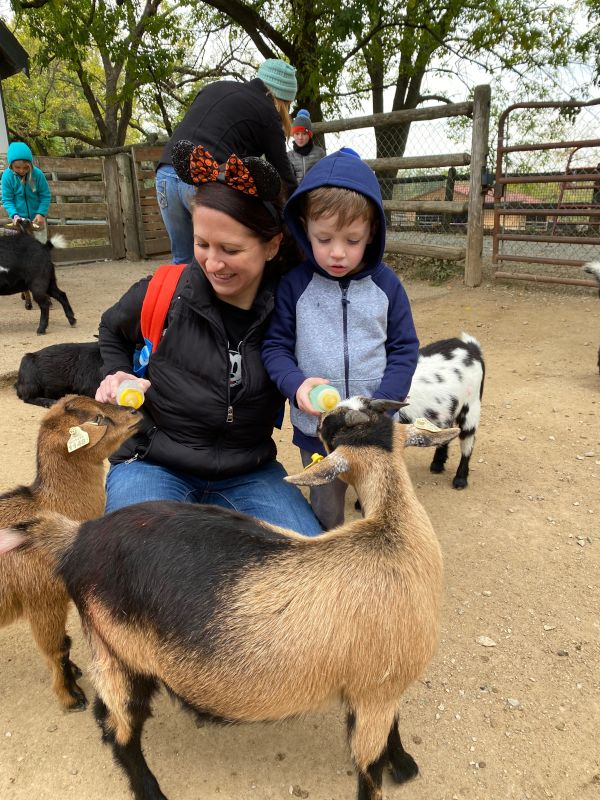 Feeding the Goats at Grant's Farm