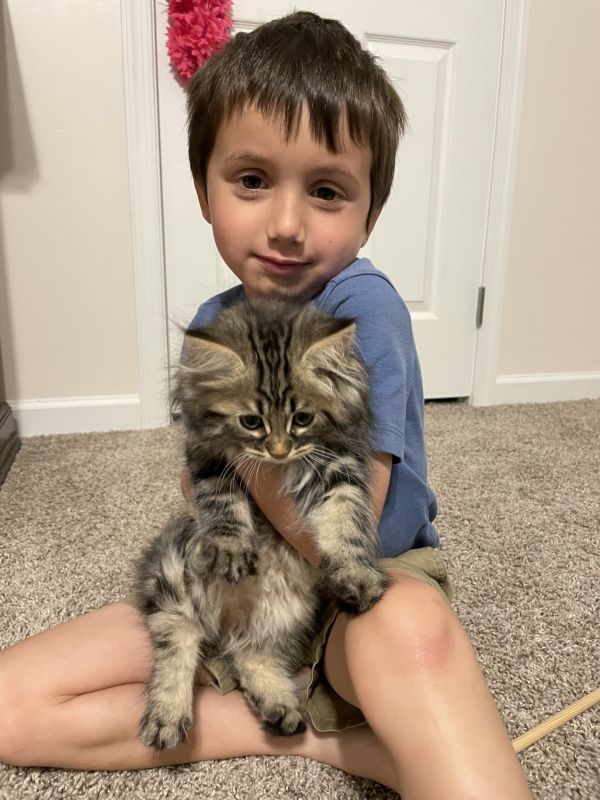 Benjamin & Our Kitten