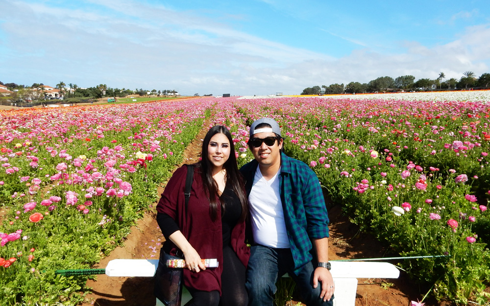 At the Carlsbad Flower Fields